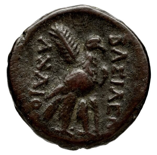 реверс Seleucid Coins (part 1) 955