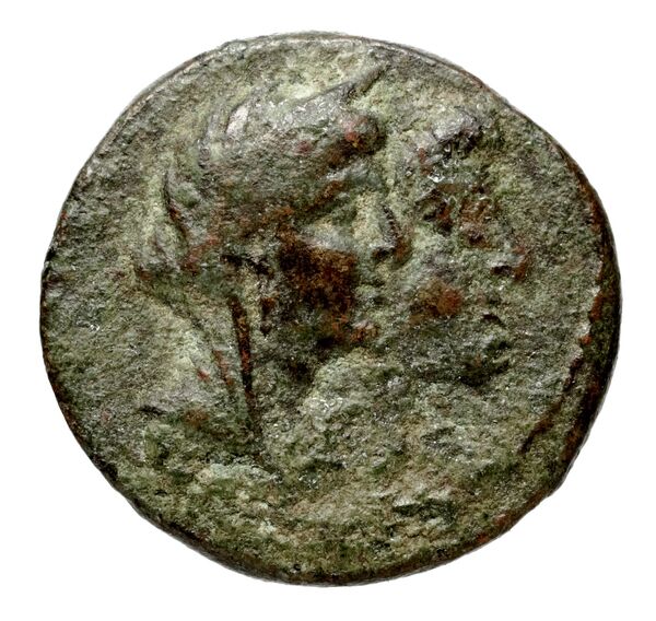 аверс Seleucid Coins (part 2) 1844