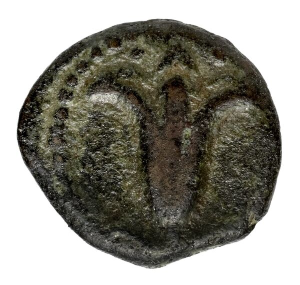 аверс Seleucid Coins (part 2) 2123.2