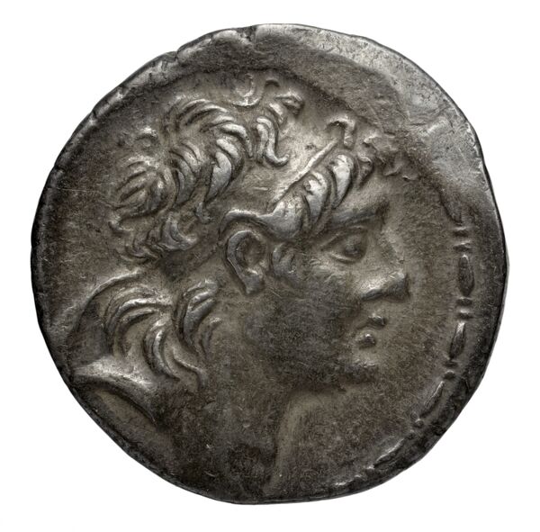 аверс Seleucid Coins (part 2) 2061.1h