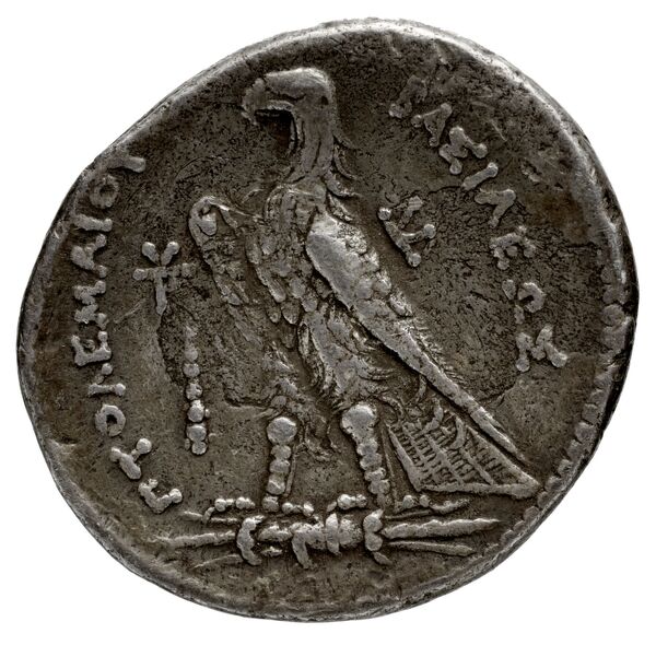 Coins of the Ptolemaic Empire Vol. I, Part 1, no. 566, реверс, BnF (HRC)