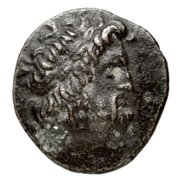 Newell Demetrius Poliorcetes, no. 167, аверс, BnF (HRC)