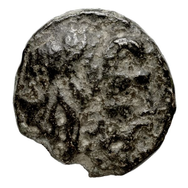 Newell Demetrius Poliorcetes, no. 181, аверс, BnF (HRC)