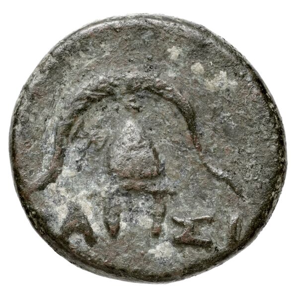 Newell Demetrius Poliorcetes, no. 125, реверс, bnf-hrc