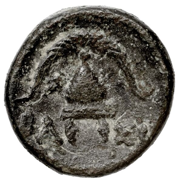 Newell Demetrius Poliorcetes, no. 125, реверс, bnf-hrc