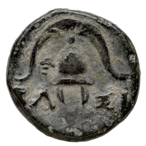 Newell Demetrius Poliorcetes, no. 125, реверс, bnf-hrc