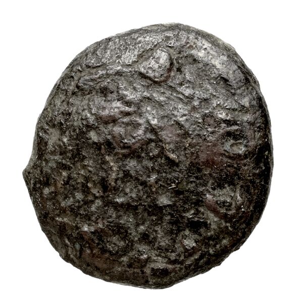 Newell Demetrius Poliorcetes, no. 133, аверс, bnf-hrc