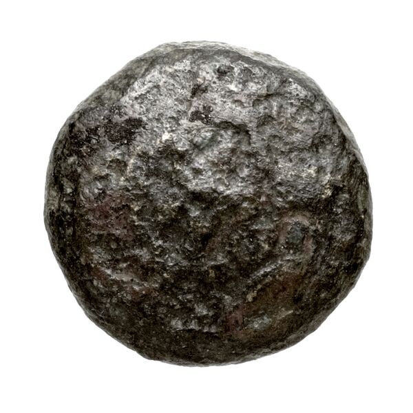 Newell Demetrius Poliorcetes, no. 133, аверс, bnf-hrc