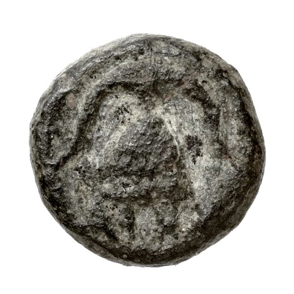Newell Demetrius Poliorcetes, no. 133, реверс, bnf-hrc