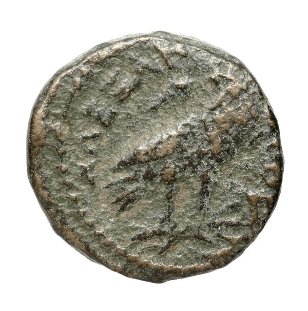 Price 28, реверс, bnf-hrc