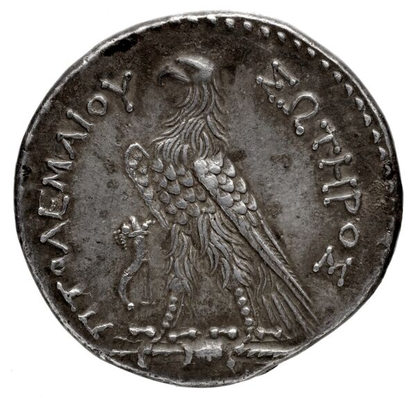 Coins of the Ptolemaic Empire Vol. I, Part 1, no. 732, реверс, BnF (HRC)