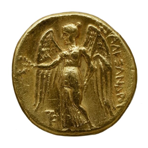 Price 3101, реверс, bnf-hrc