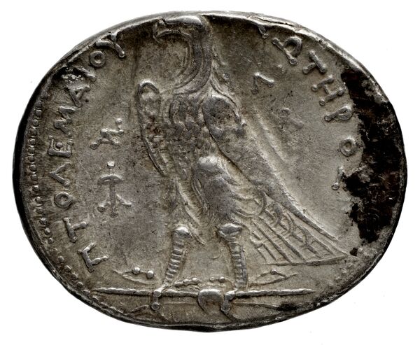 Coins of the Ptolemaic Empire Vol. I, Part 1, no. 686, реверс, BnF (HRC)