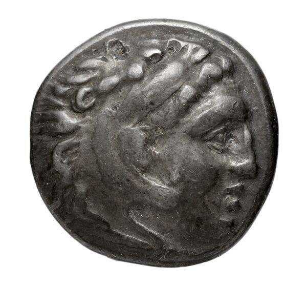 Coins of the Ptolemaic Empire Vol. I, Part II, no. B206, аверс, bnf-hrc