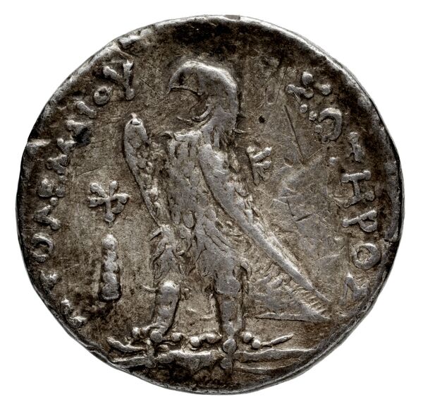 Coins of the Ptolemaic Empire Vol. I, Part 1, no. 567, реверс, BnF (HRC)