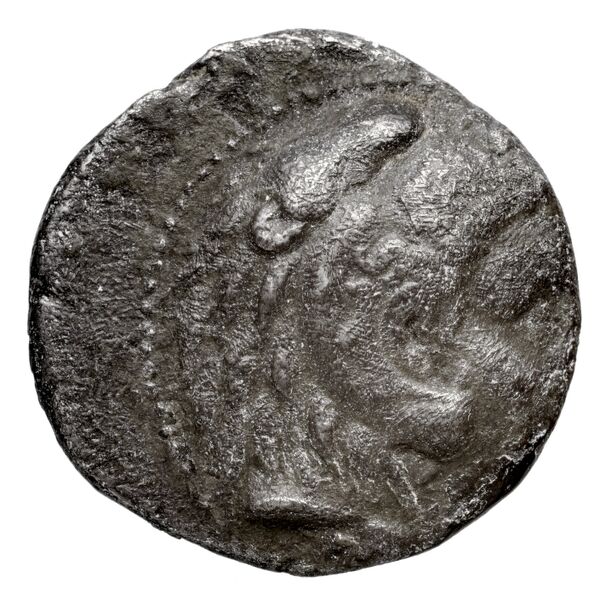 Coins of the Ptolemaic Empire Vol. I, Part II, no. B206, аверс, bnf-hrc