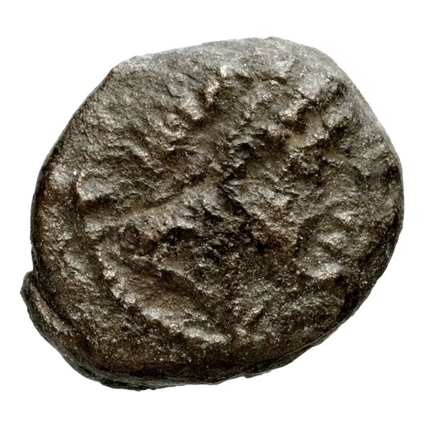аверс Seleucid Coins (part 1) 406