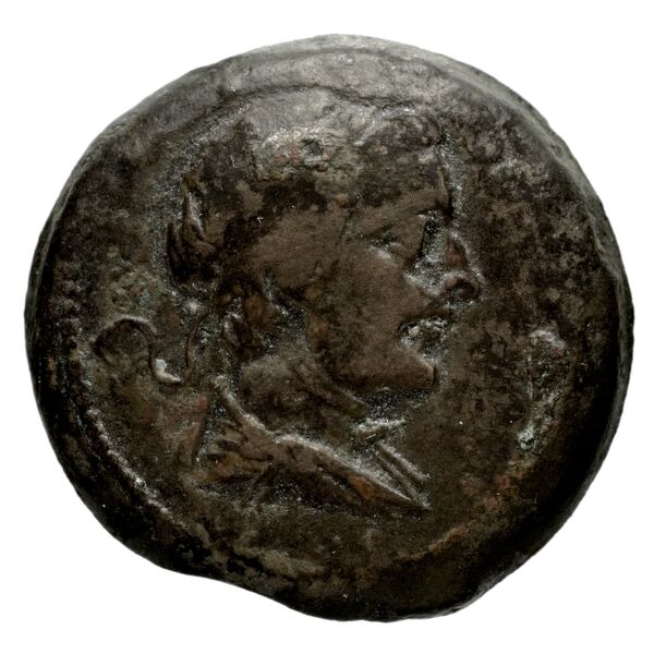аверс Seleucid Coins (part 1) 794