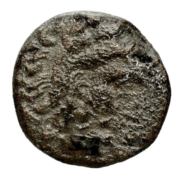 аверс Seleucid Coins (part 1) 147