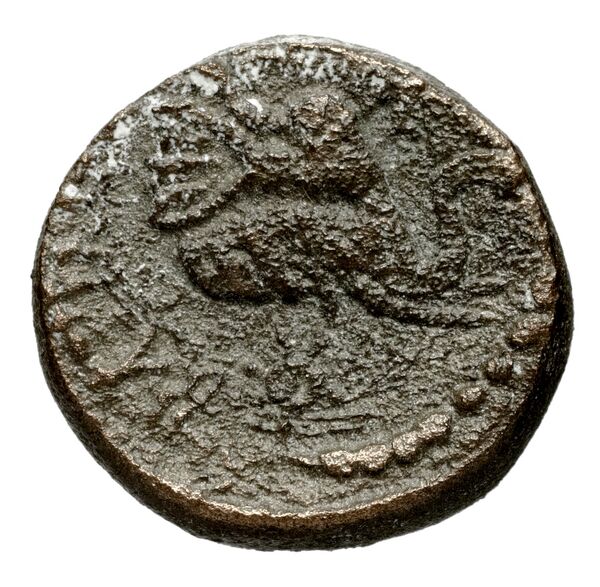 реверс Seleucid Coins (part 1) 147