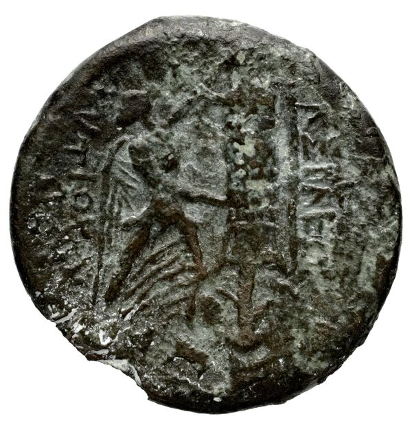 реверс Seleucid Coins (part 1) 388.2