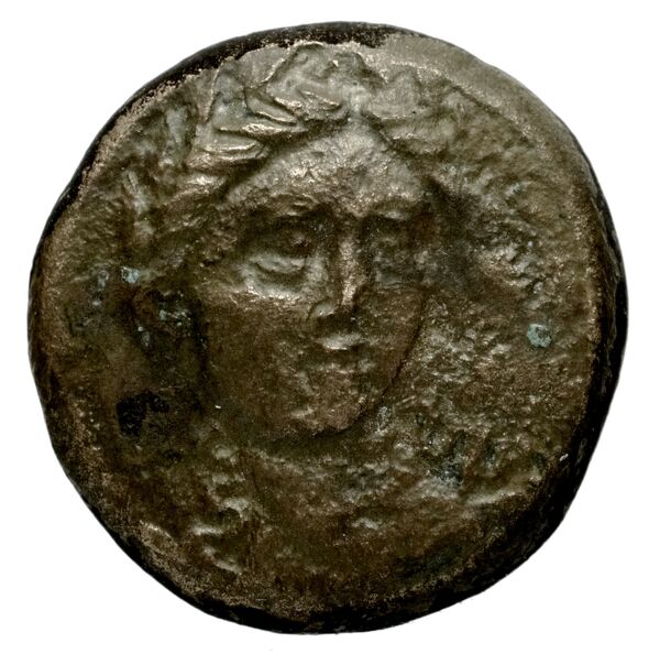 аверс Seleucid Coins (part 1) 389.1