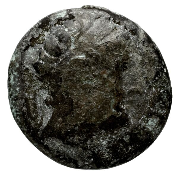 аверс Seleucid Coins (part 1) 781