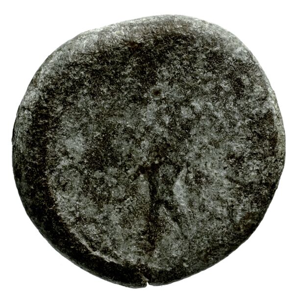 реверс Seleucid Coins (part 1) 782