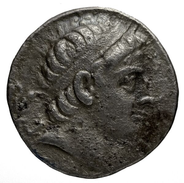 аверс Seleucid Coins (part 1) 939