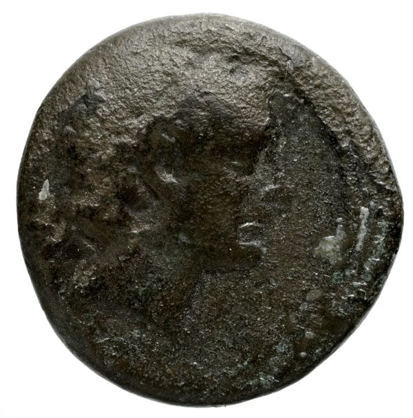 Seleucid Coins (part 1) 805, аверс, BnF (HRC)