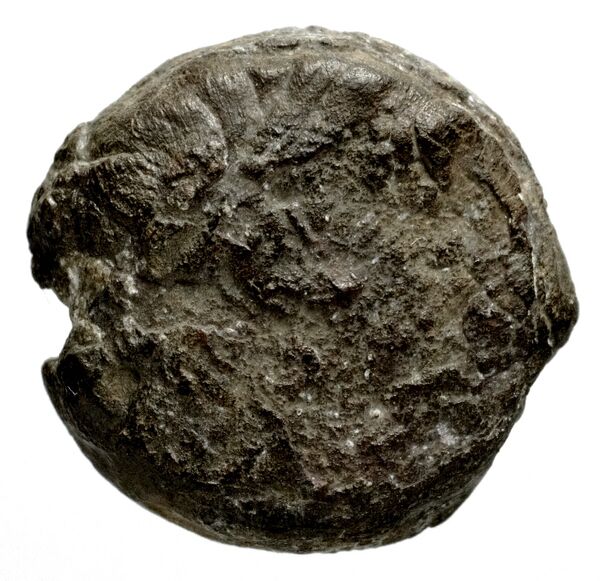 Seleucid Coins (part 1) 1180, аверс, bnf-hrc