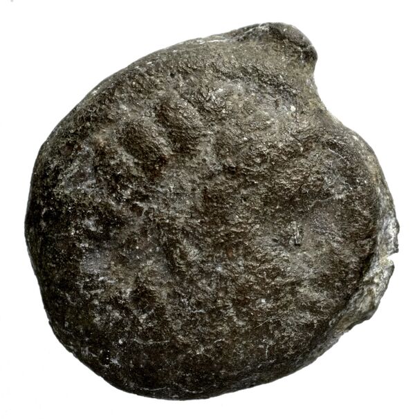 Seleucid Coins (part 1) 1180, аверс, bnf-hrc