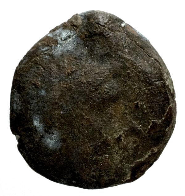 Seleucid Coins (part 1) 1180, аверс, bnf-hrc