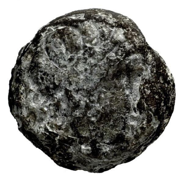 Seleucid Coins (part 1) 1180, аверс, bnf-hrc