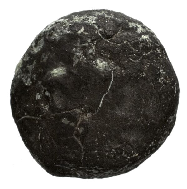 Seleucid Coins (part 1) 1180, аверс, bnf-hrc