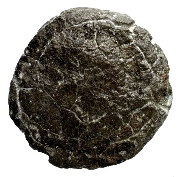 Seleucid Coins (part 1) 1180, аверс, bnf-hrc