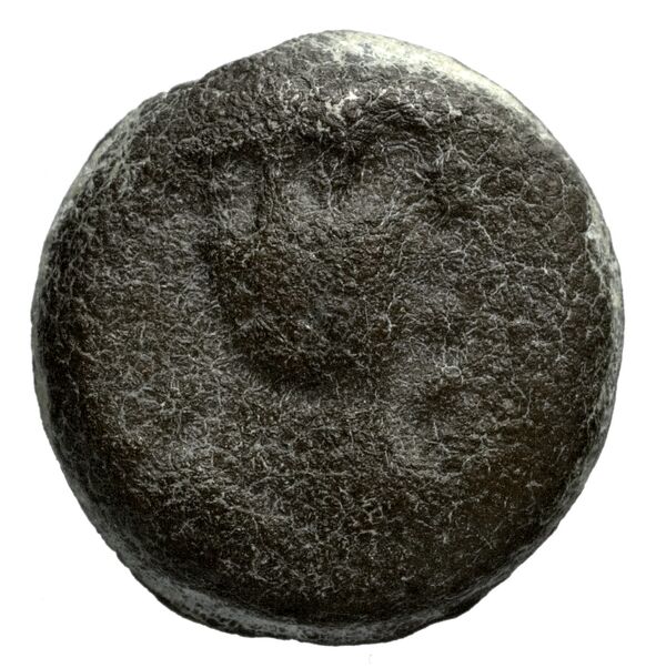 Seleucid Coins (part 1) 1178, аверс, bnf-hrc