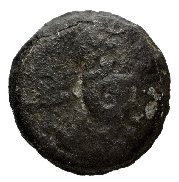 Seleucid Coins (part 1) 1178, аверс, bnf-hrc