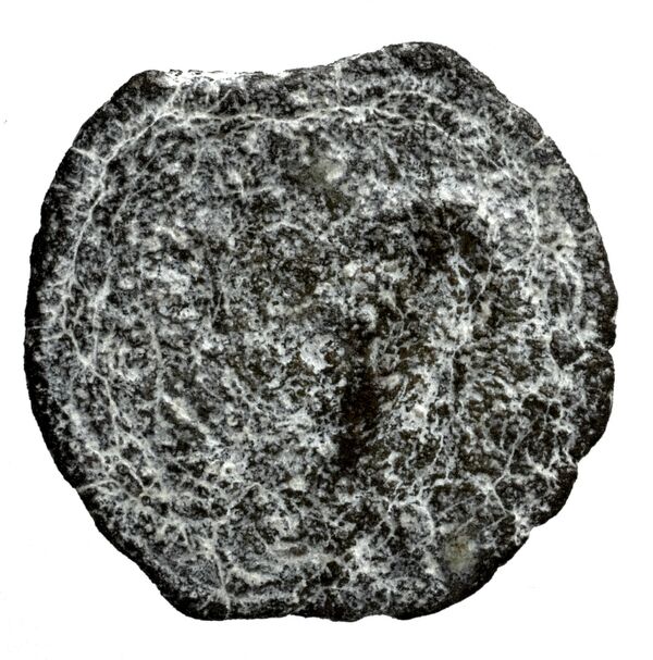 Seleucid Coins (part 1) 1178, реверс, bnf-hrc