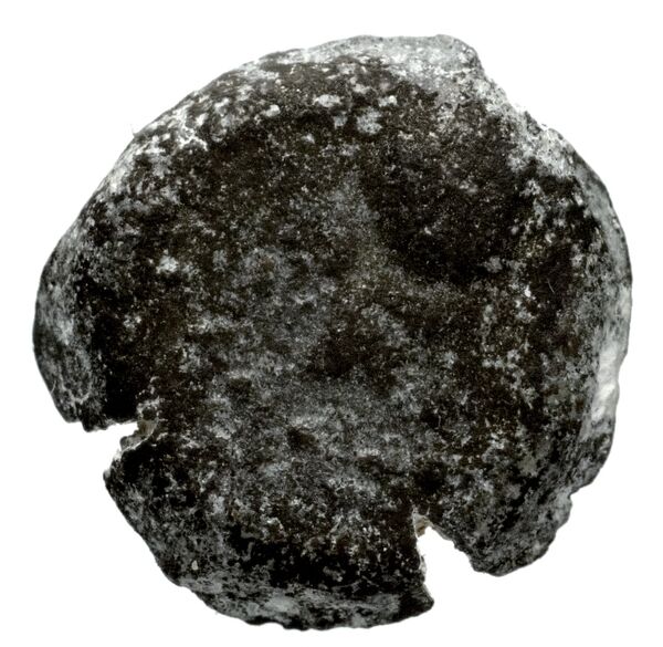 Seleucid Coins (part 1) 1178, аверс, bnf-hrc