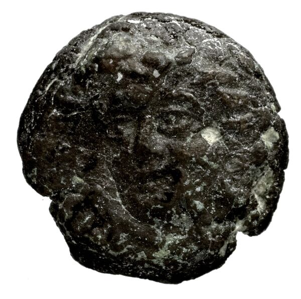 Seleucid Coins (part 1) 1178, аверс, bnf-hrc