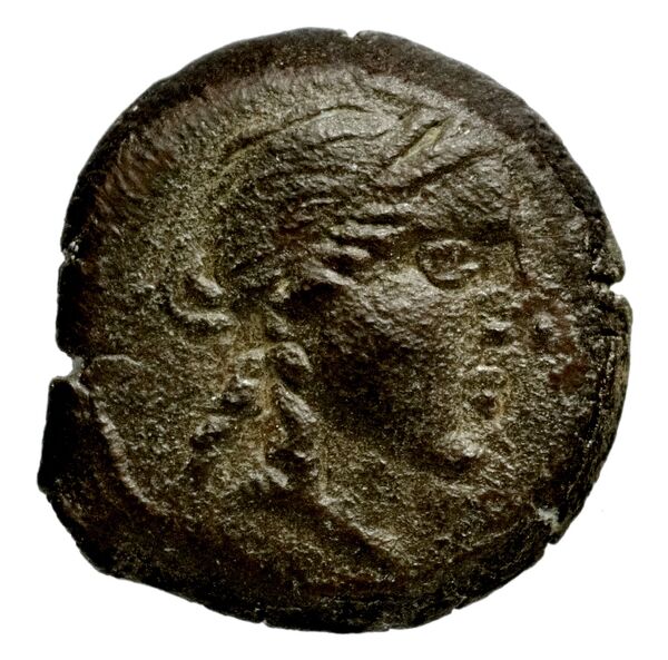 аверс Seleucid Coins (part 1) 1204