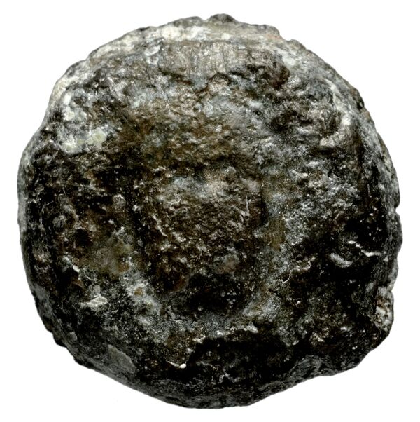 аверс Seleucid Coins (part 1) 1188