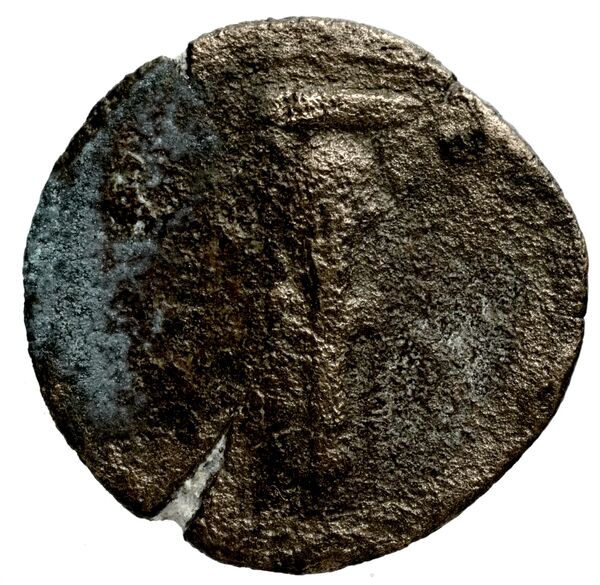 реверс Seleucid Coins (part 1) 1189