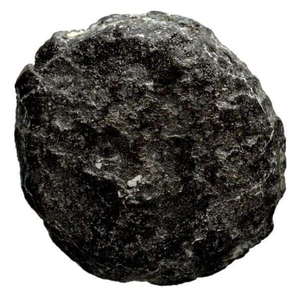 Seleucid Coins (part 1) 1192.2, аверс, bnf-hrc
