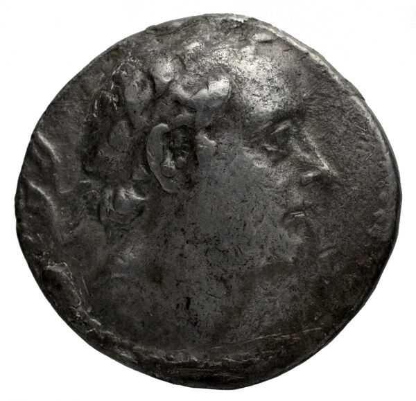 аверс Seleucid Coins (part 2) 1334