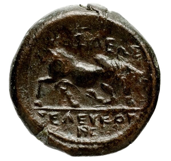 реверс Seleucid Coins (part 1) 191.2