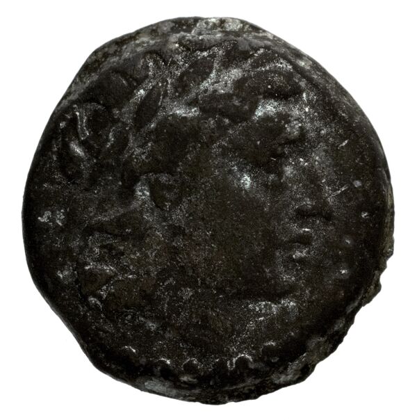 аверс Seleucid Coins (part 2) 1339