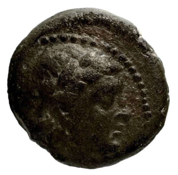 Seleucid Coins (part 2) 1339, аверс, bnf-hrc