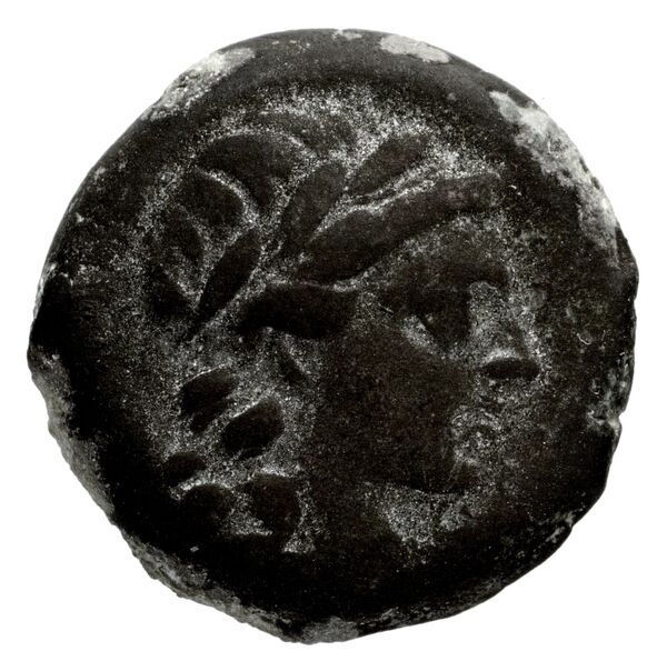 Seleucid Coins (part 2) 1339, аверс, bnf-hrc